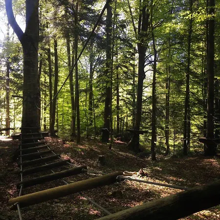 Vilni Vitry מלון *