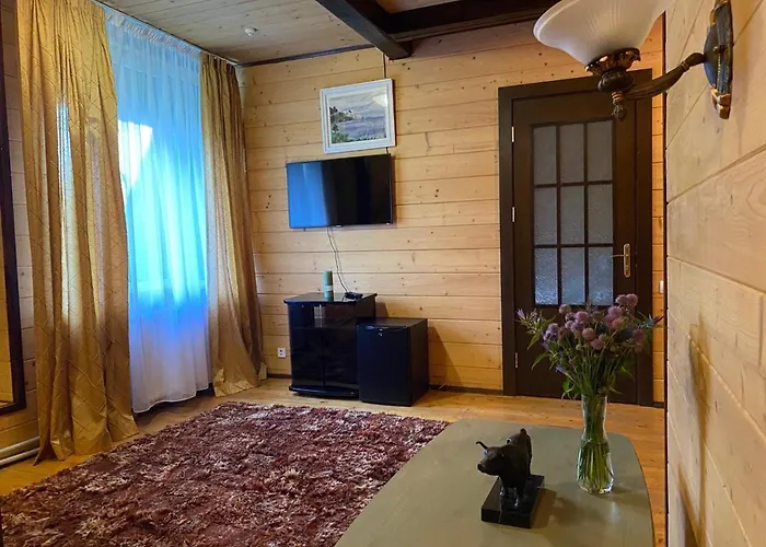 Hotel Vilni Vitry *
